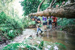 BIB: 
                            <button type="button" onclick="openModal(25476925)" class="btn btn-primary btn-sm float-right btn-popup" data-toggle="modal" data-target=".modal-high-quality">
                        <i class="fas fa-shopping-cart"></i> Add to Cart
                    </button>
                                            <button type="button" onclick="isThisMe(25476925, true)" class="btn btn-success btn-sm float-right btn-popup btn-isme hidden" data-toggle="tooltip" data-placement="bottom" title="นี่คือรูปของคุณใช่ไหม คลิกที่นี่เพื่อเอาเข้าอัลบั้ม">
                        <i class="fas fa-plus"></i> Add to album
                    </button>
                    <button type="button" onclick="isThisMe(25476925, false)" class="btn btn-warning btn-sm float-right btn-popup btn-isnotme hidden">
                        <i class="fas fa-ban"></i> Remove from album
                    </button>